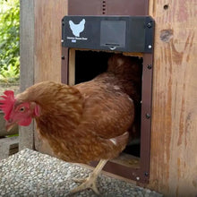 Učitajte sliku u preglednik galerije, GateX Automatska vrata za kokoši sa senzorom